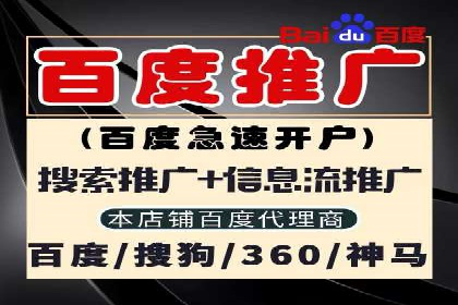 成功SEM托管代运营案例分析